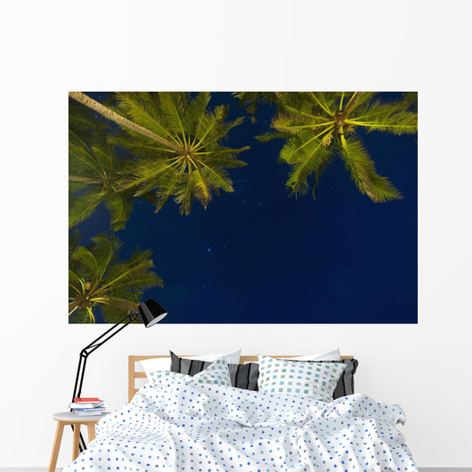 Sri Lanka, near Unawatuna, Stars at night with palm tree Wall Mural