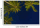 Sri Lanka, near Unawatuna, Stars at night with palm tree Wall Mural