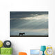 Kenya, Side view of zebra in Ol Pejeta Conservancy Wall Mural