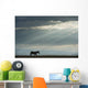 Kenya, Side view of zebra in Ol Pejeta Conservancy Wall Mural