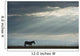 Kenya, Side view of zebra in Ol Pejeta Conservancy Wall Mural