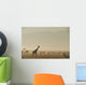 Kenya, Giraffe at dawn in front of Mt Kenya in Ol Pejeta Conservancy Wall Mural