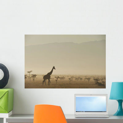 Kenya Giraffe Dawn Front Wall Mural shown on a wall