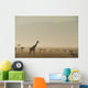 Kenya, Giraffe at dawn in front of Mt Kenya in Ol Pejeta Conservancy Wall Mural