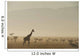 Kenya, Giraffe at dawn in front of Mt Kenya in Ol Pejeta Conservancy Wall Mural