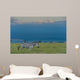 Zebras on grassy hill Wall Mural