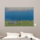 Zebras on grassy hill Wall Mural