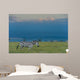 Zebras on grassy hill Wall Mural