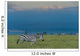 Zebras on grassy hill Wall Mural