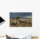 Kenya, Southern White Rhinos in Ol Pejeta Conservancy Wall Mural