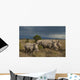 Kenya, Southern White Rhinos in Ol Pejeta Conservancy Wall Mural