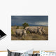 Kenya, Southern White Rhinos in Ol Pejeta Conservancy Wall Mural