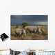 Kenya, Southern White Rhinos in Ol Pejeta Conservancy Wall Mural
