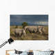 Kenya, Southern White Rhinos in Ol Pejeta Conservancy Wall Mural