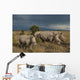 Kenya, Southern White Rhinos in Ol Pejeta Conservancy Wall Mural