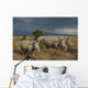 Kenya, Southern White Rhinos in Ol Pejeta Conservancy Wall Mural