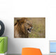 Kenya, Male lion snarling in Ol Pejeta Conservancy Wall Mural