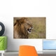 Kenya, Male lion snarling in Ol Pejeta Conservancy Wall Mural