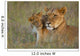 Kenya, Lioness with cub at dusk in Ol Pejeta Conservancy Wall Mural