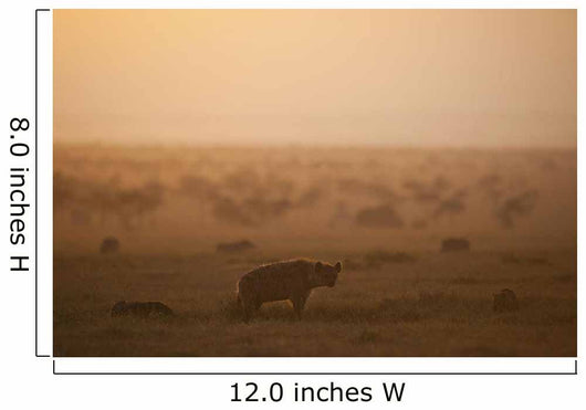Kenya, Hyena with cubs at dawn in Ol Pejeta Conservancy Wall Mural