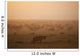 Kenya, Hyena with cubs at dawn in Ol Pejeta Conservancy Wall Mural