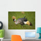 Kenya, Grey Crowned Crane in Ol Pejeta Conservancy Wall Mural