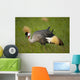 Kenya, Grey Crowned Crane in Ol Pejeta Conservancy Wall Mural