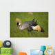 Kenya, Grey Crowned Crane in Ol Pejeta Conservancy Wall Mural