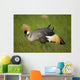 Kenya, Grey Crowned Crane in Ol Pejeta Conservancy Wall Mural
