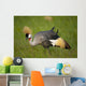 Kenya, Grey Crowned Crane in Ol Pejeta Conservancy Wall Mural
