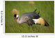 Kenya, Grey Crowned Crane in Ol Pejeta Conservancy Wall Mural