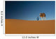 Berber leading camel across sand dune near Merzouga in Sahara Desert Wall Mural