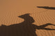 Morocco, Erg Chebbi area Wall Mural
