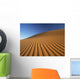 Morocco, Detail of sand dune at dawn in Erg Chebbi area Wall Mural