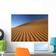 Morocco, Detail of sand dune at dawn in Erg Chebbi area Wall Mural