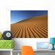 Morocco, Detail of sand dune at dawn in Erg Chebbi area Wall Mural