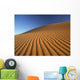 Morocco, Detail of sand dune at dawn in Erg Chebbi area Wall Mural