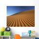 Morocco, Detail of sand dune at dawn in Erg Chebbi area Wall Mural