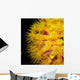 Orange Cup Coral Wall Decal