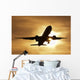 Plane Wall Mural