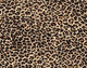 Leopard Skin as Wall Mural