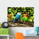 Parrots Wall Mural