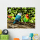 Parrots Wall Mural