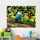 Parrots Wall Mural