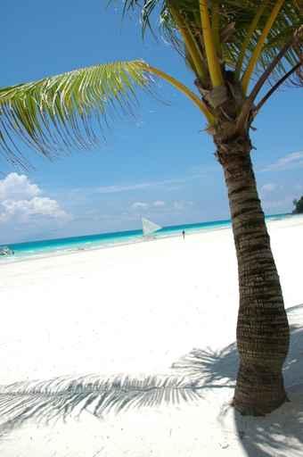 White Sand Beach Wall Decal