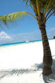 White Sand Beach Wall Decal