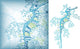 Sea Life Seahorse Wall Decal