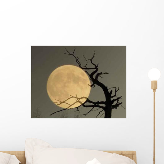 What Dream Wall Decal