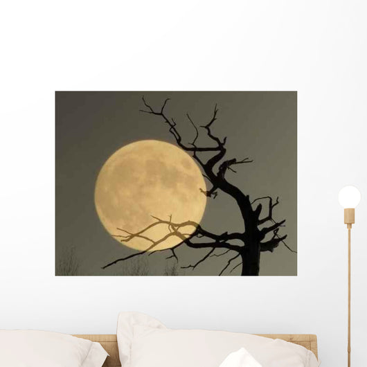 What Dream Wall Decal
