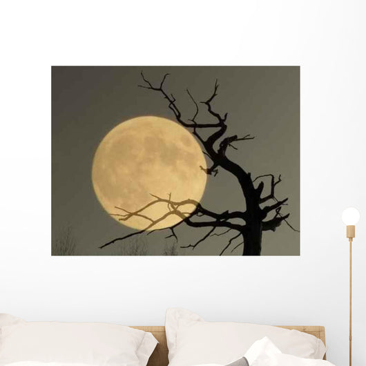 What Dream Wall Decal
